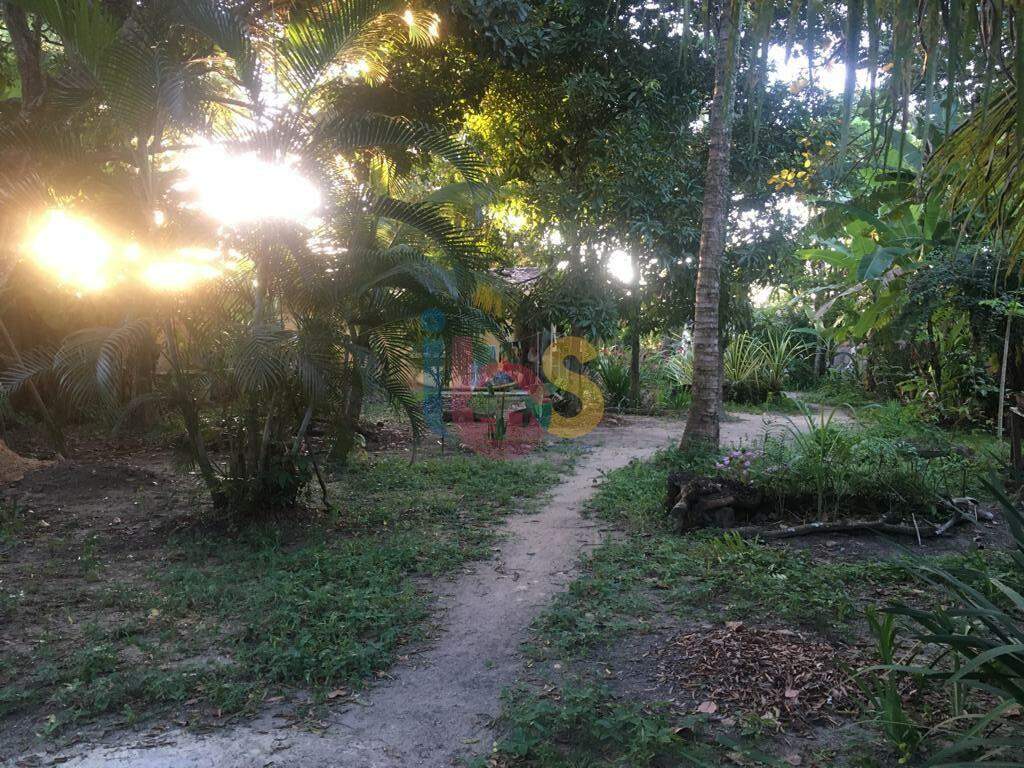 Terreno, 1226 m² - Foto 3