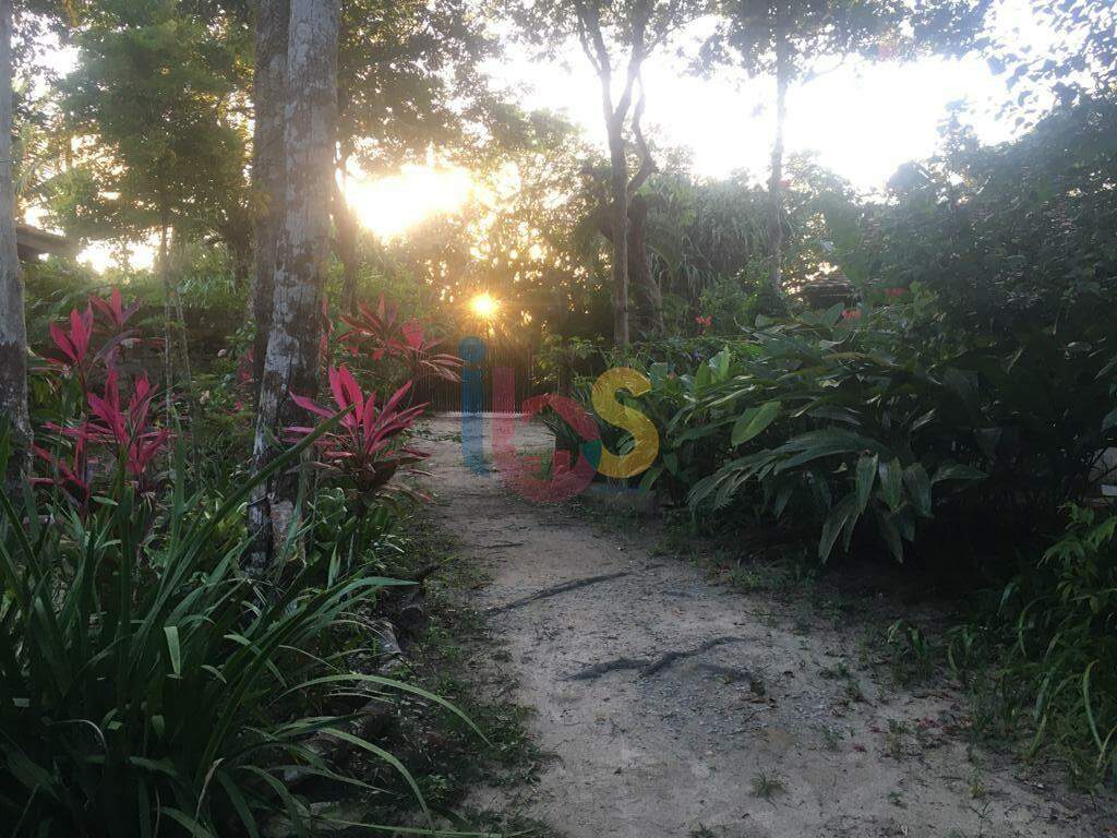 Terreno, 1226 m² - Foto 1