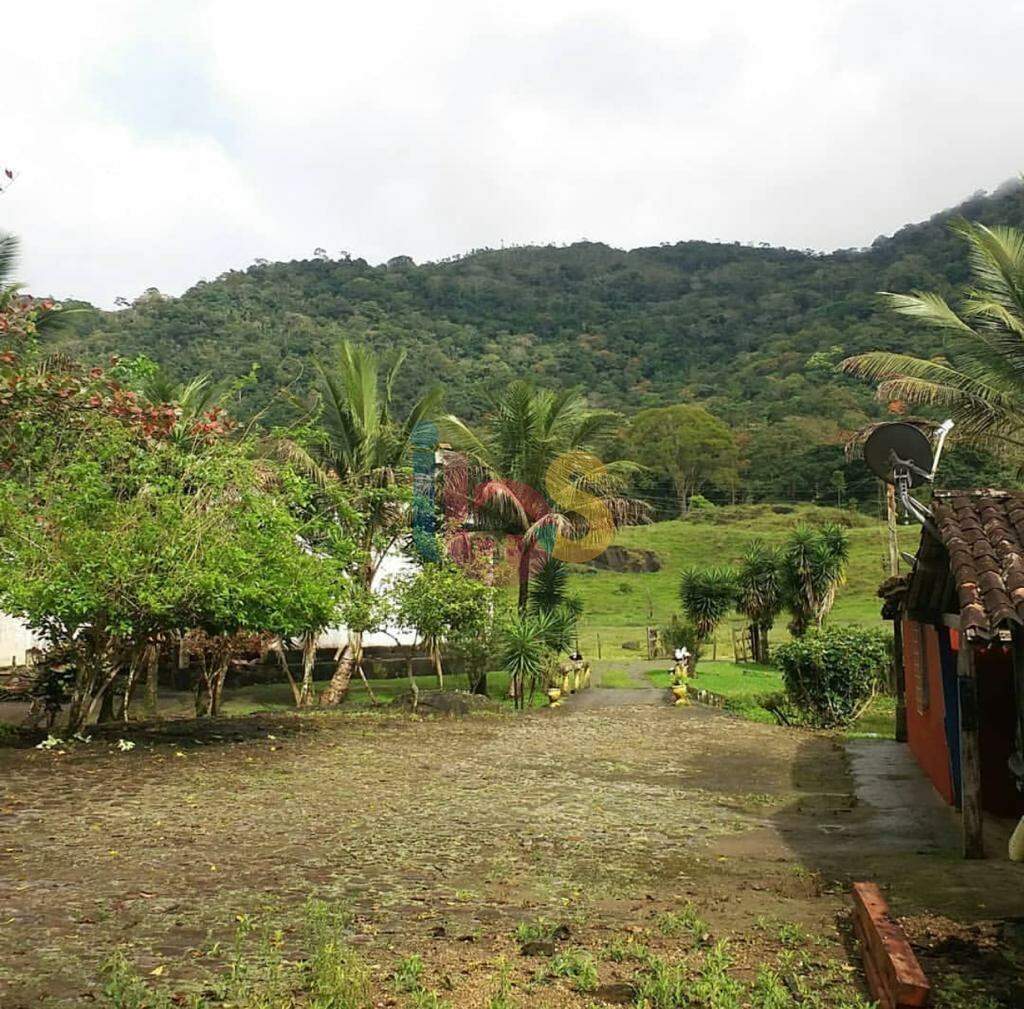 Fazenda à venda com 3 quartos - Foto 6