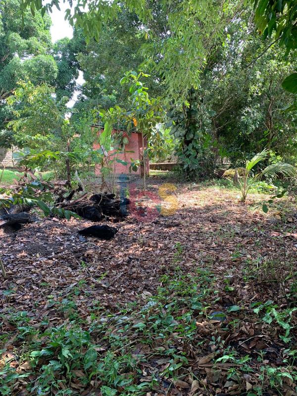 Terreno, 700 m² - Foto 6