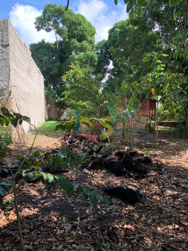 Terreno, 700 m² - Foto 8