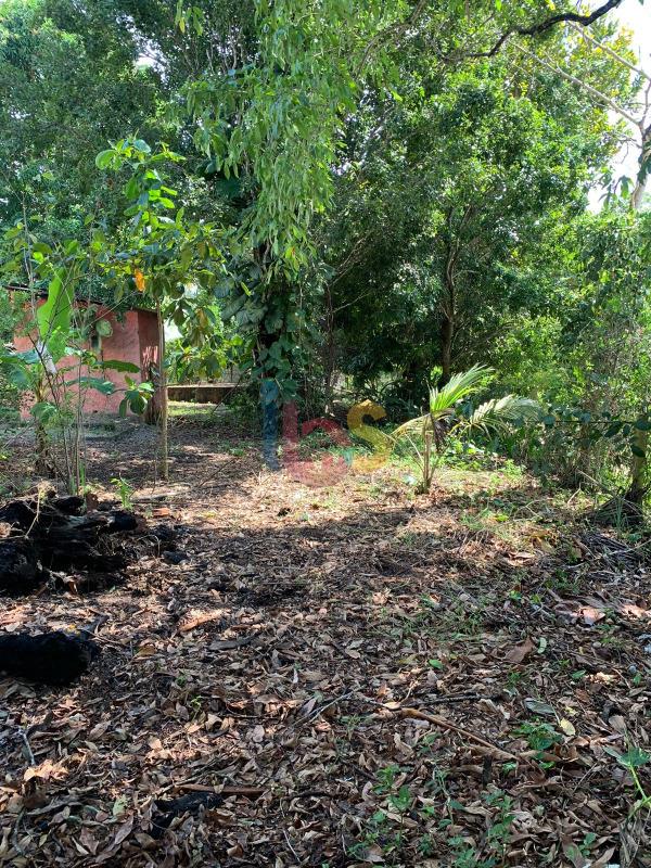 Terreno, 700 m² - Foto 4