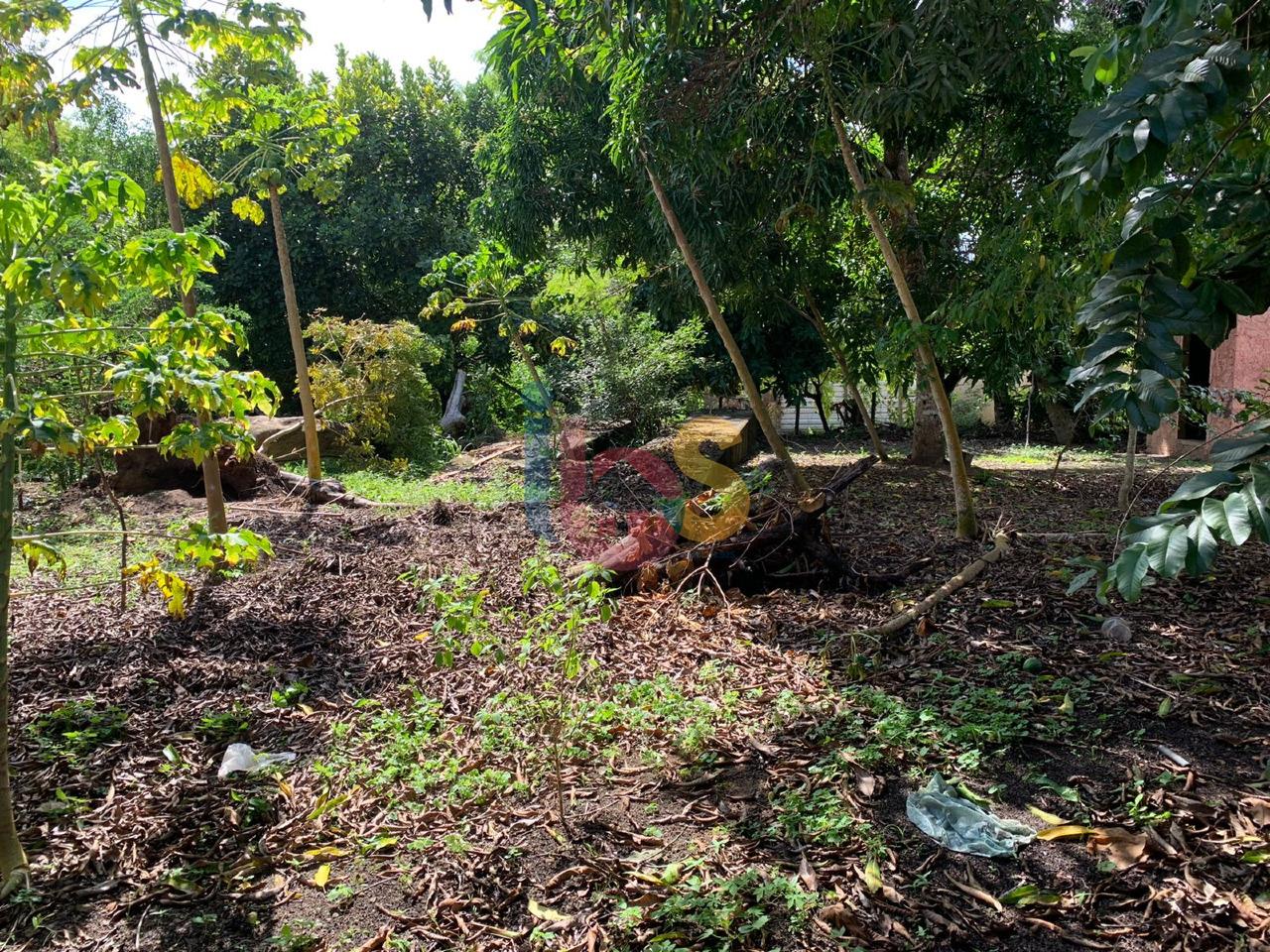 Terreno, 700 m² - Foto 7