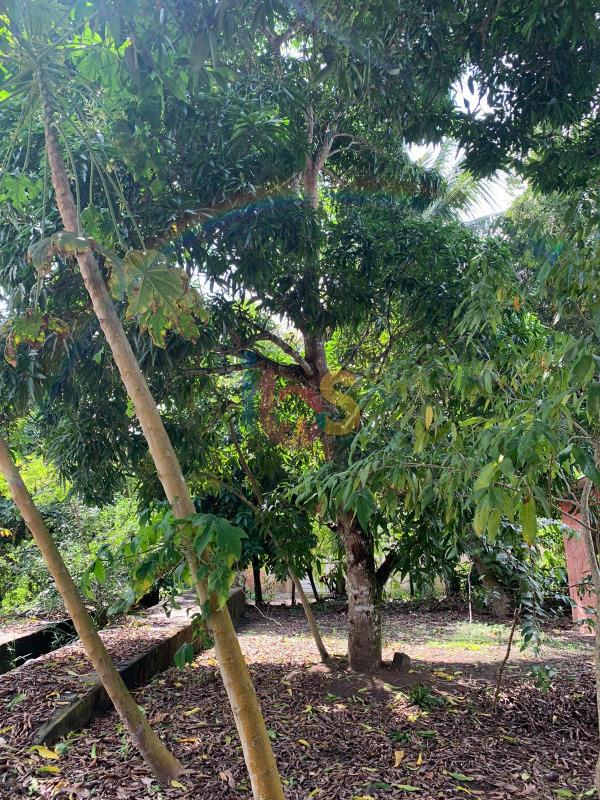 Terreno, 700 m² - Foto 1