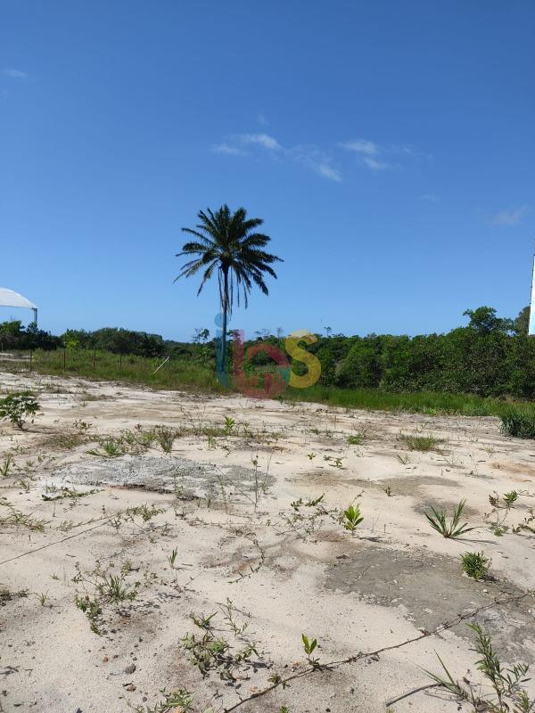 Terreno, 4400 m² - Foto 4