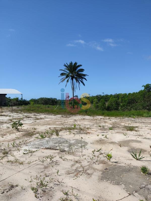 Terreno, 4400 m² - Foto 3