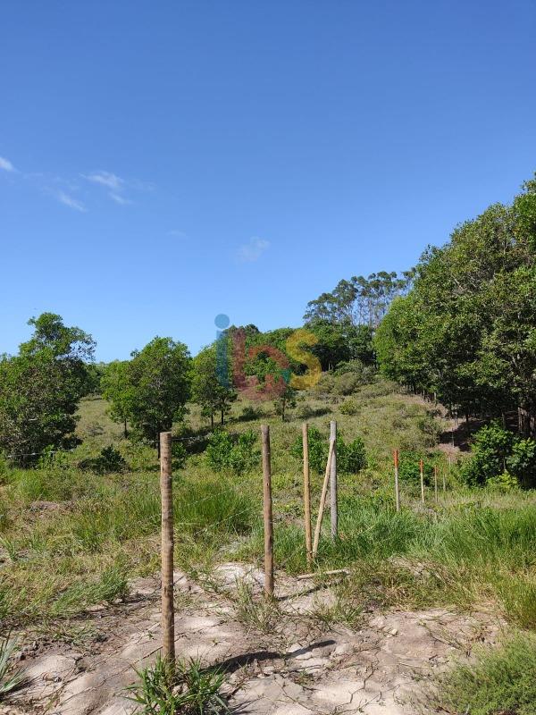 Terreno, 4400 m² - Foto 2