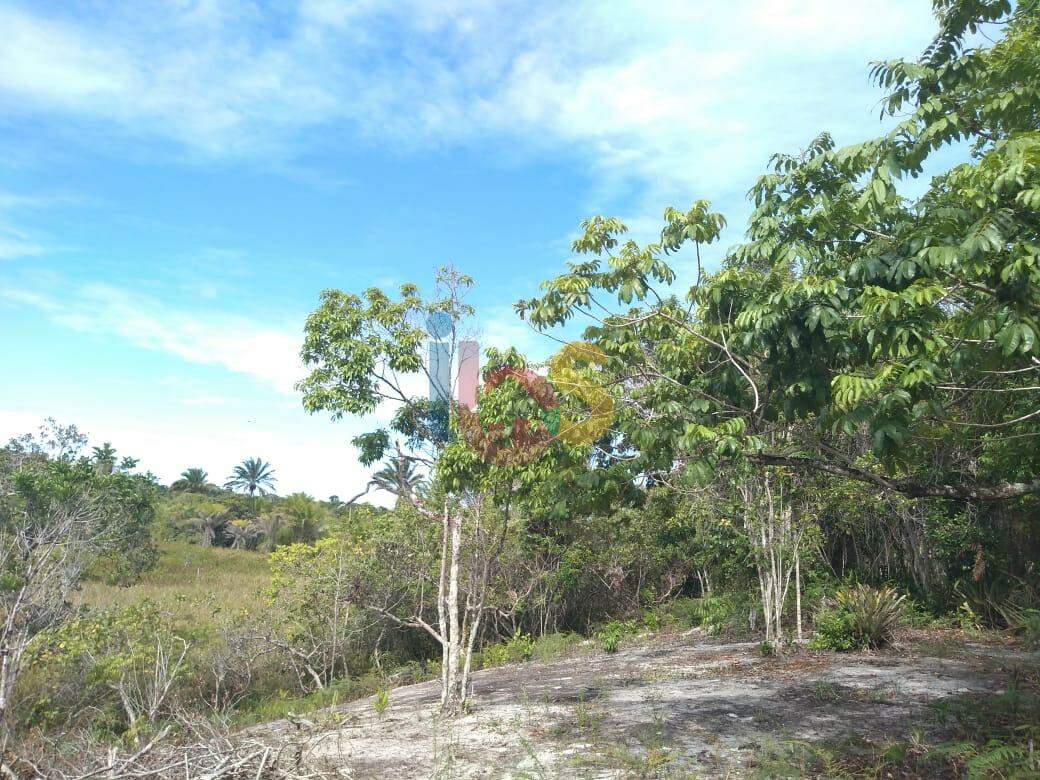 Terreno à venda, 20000m² - Foto 1