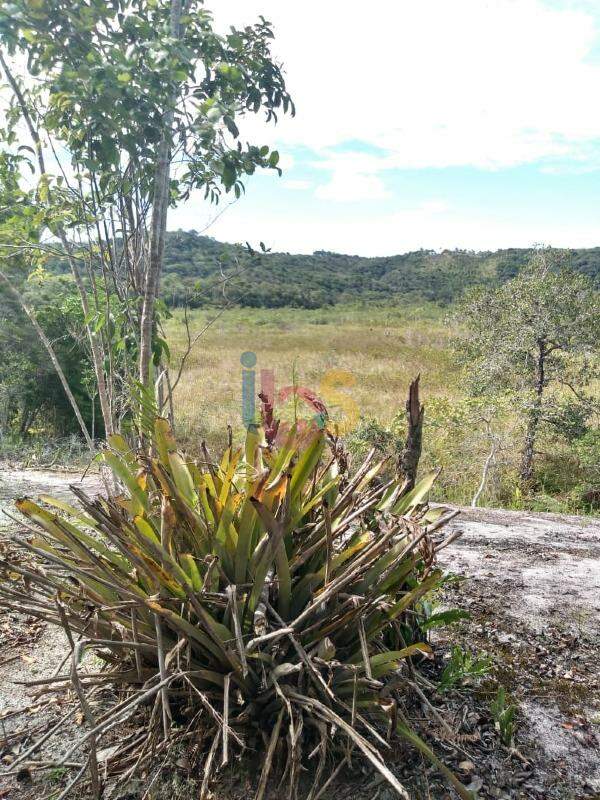 Terreno à venda, 20000m² - Foto 7