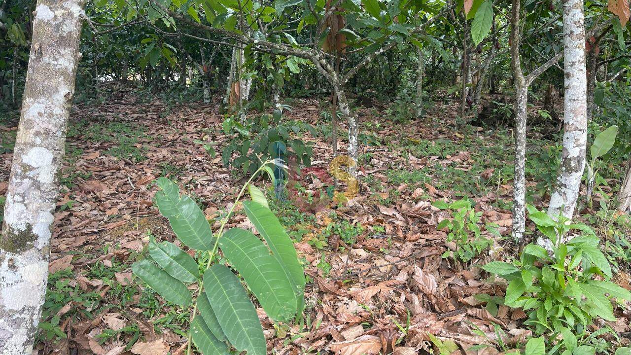 Fazenda à venda com 2 quartos - Foto 8