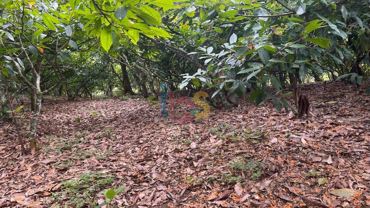 Fazenda à venda com 2 quartos - Foto 5