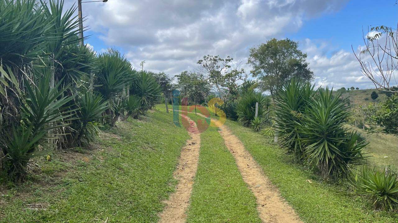 Fazenda à venda com 2 quartos - Foto 10