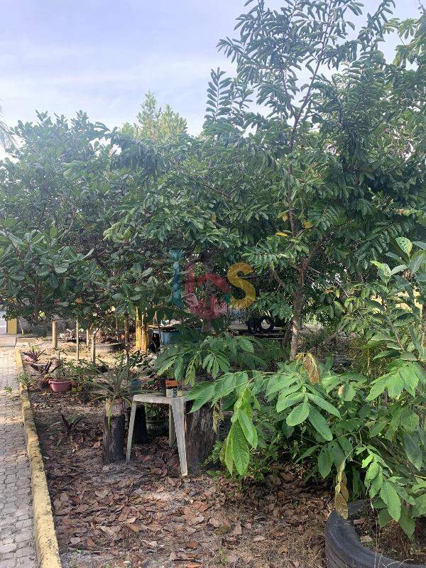 Terreno, 1 hectares - Foto 3