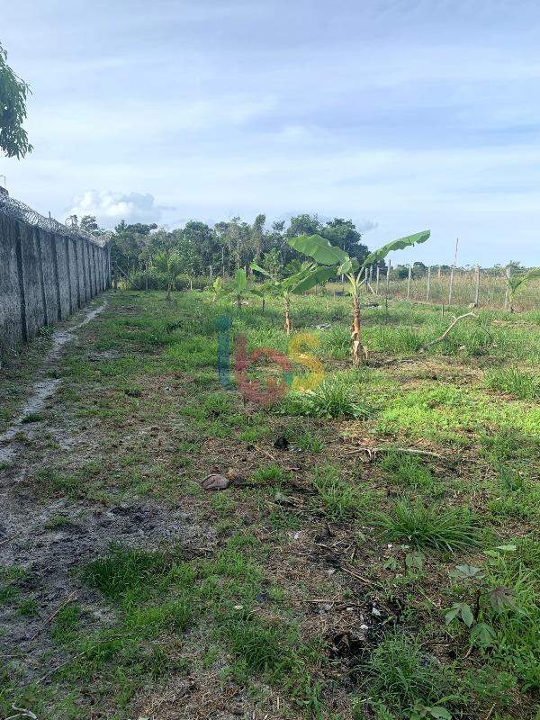 Terreno, 1 hectares - Foto 2