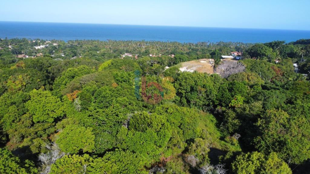 Terreno, 2 hectares - Foto 8