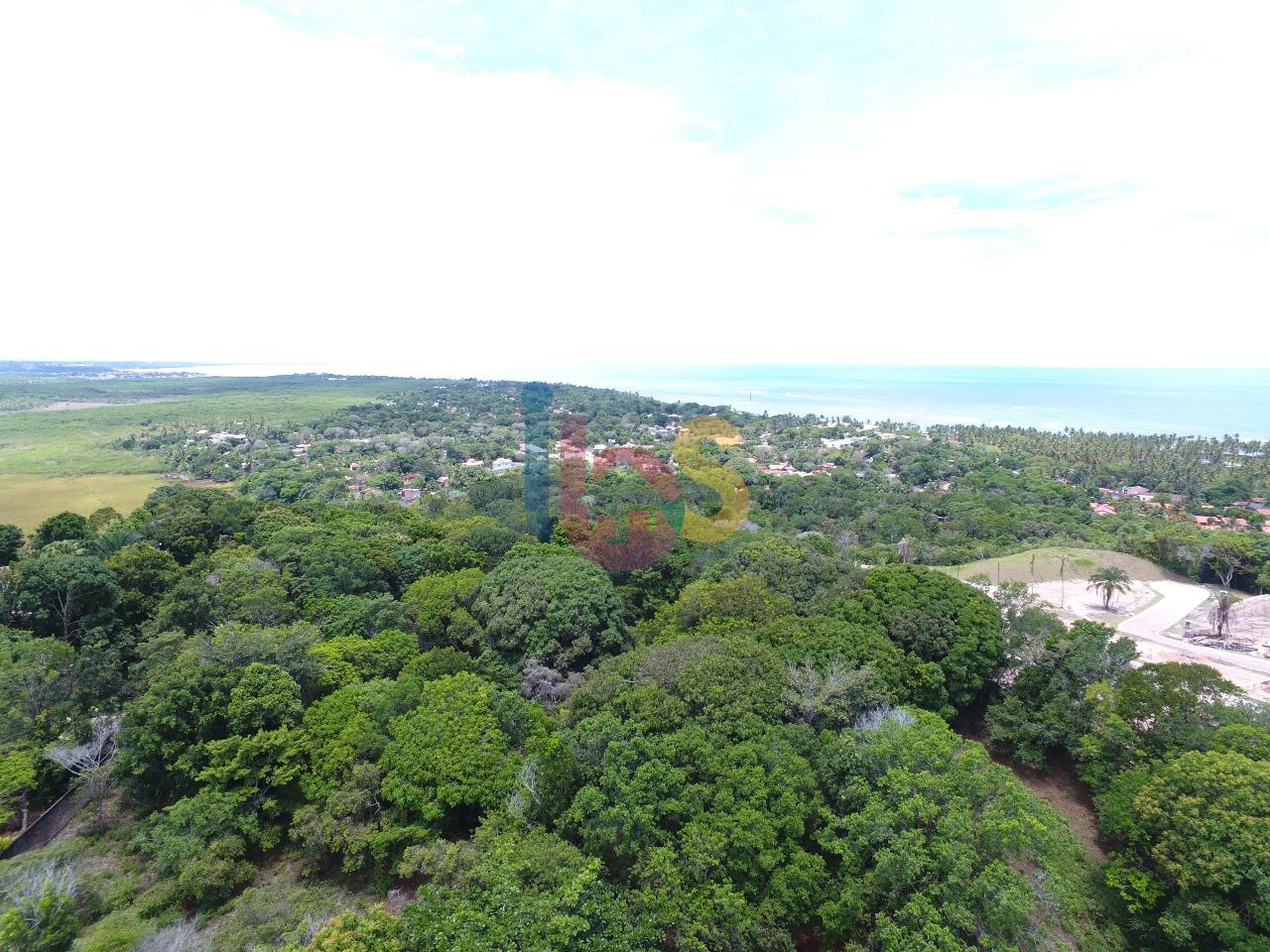 Terreno, 2 hectares - Foto 13