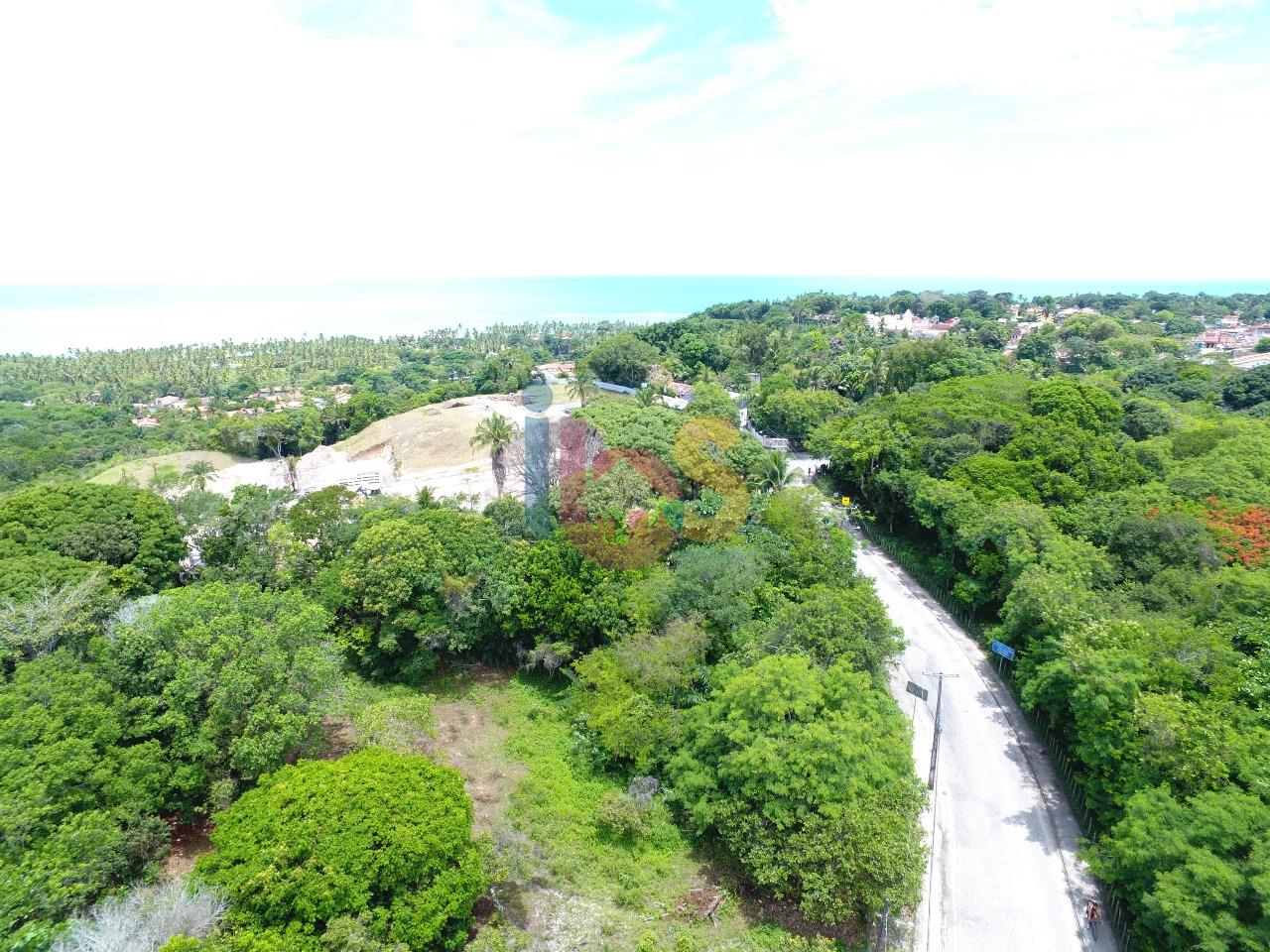 Terreno, 2 hectares - Foto 12