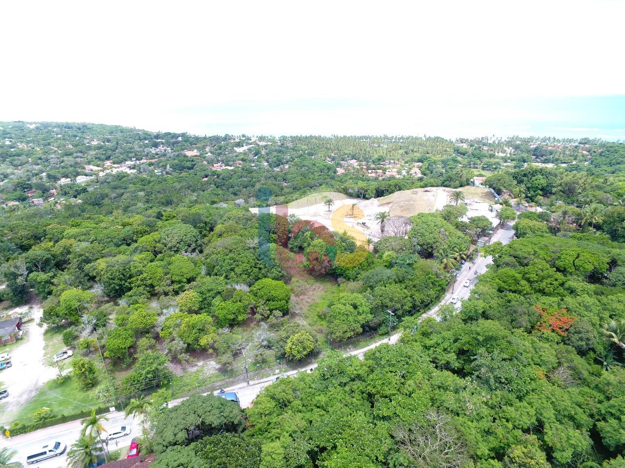 Terreno, 2 hectares - Foto 11