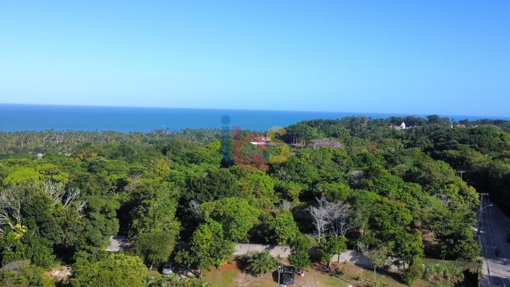 Terreno, 2 hectares - Foto 5