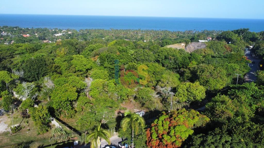 Terreno, 2 hectares - Foto 9