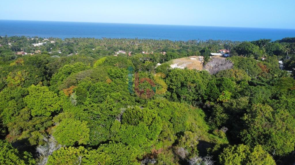 Terreno, 2 hectares - Foto 6