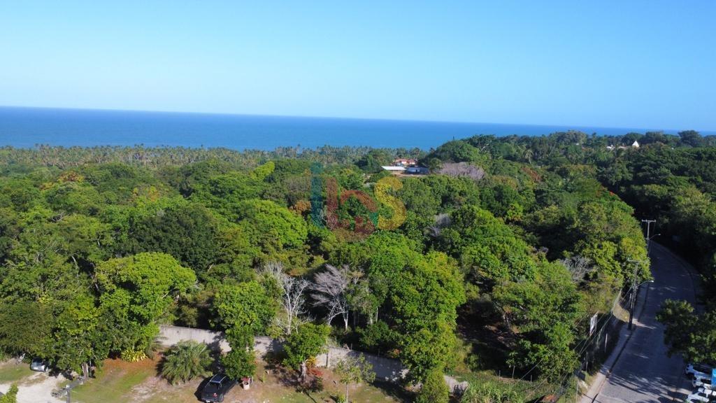 Terreno, 2 hectares - Foto 3