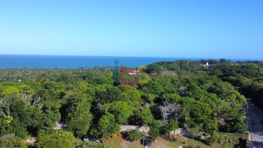 Terreno, 2 hectares - Foto 4