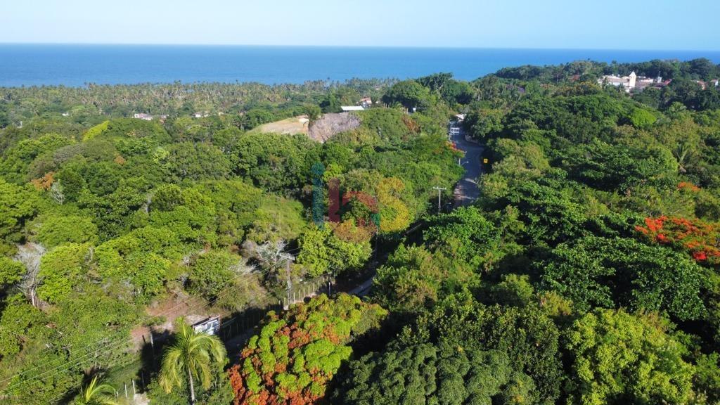 Terreno, 2 hectares - Foto 10