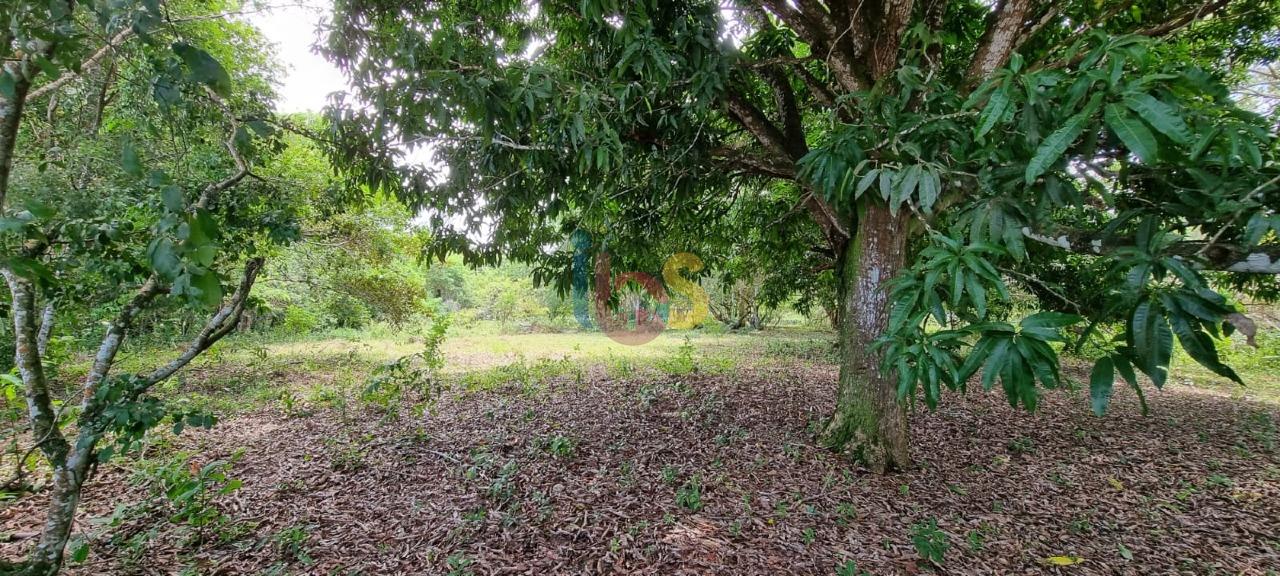 Terreno, 2 hectares - Foto 25