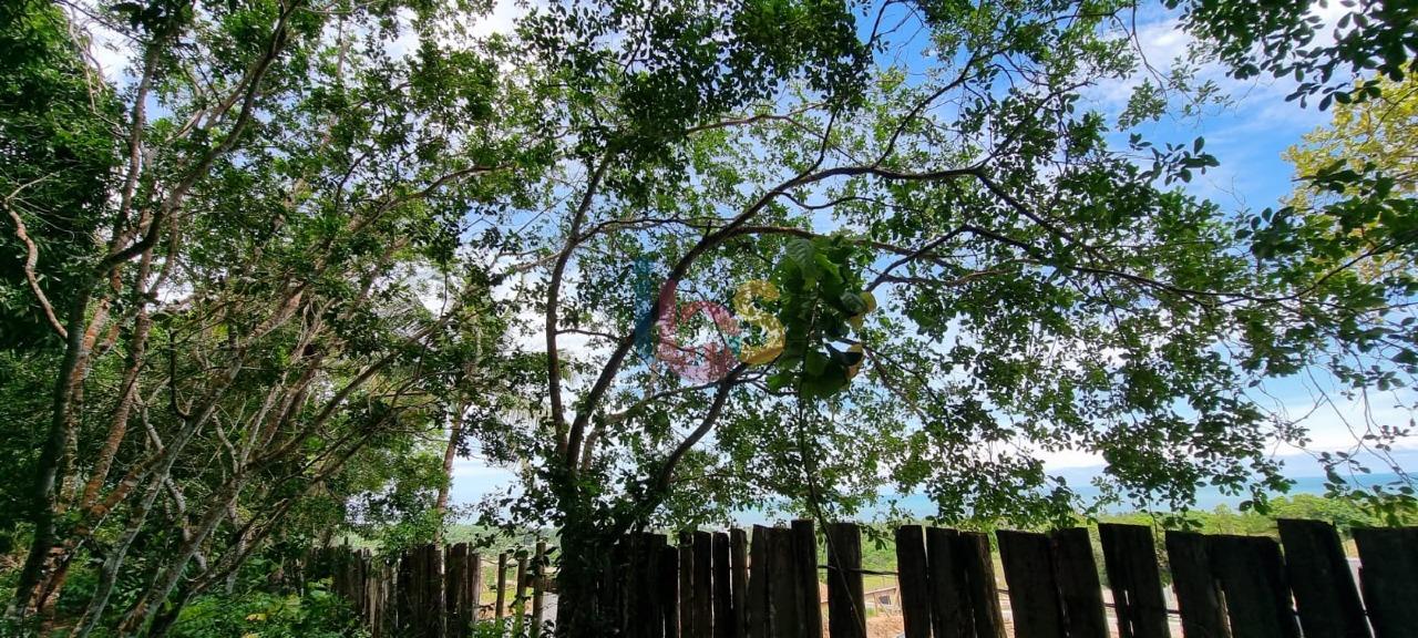 Terreno, 2 hectares - Foto 24