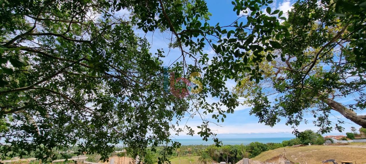 Terreno, 2 hectares - Foto 23