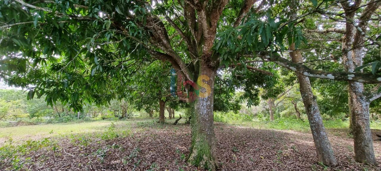 Terreno, 2 hectares - Foto 22