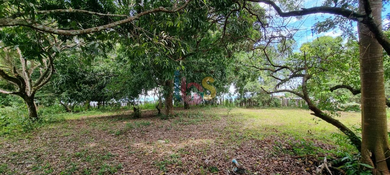 Terreno, 2 hectares - Foto 21