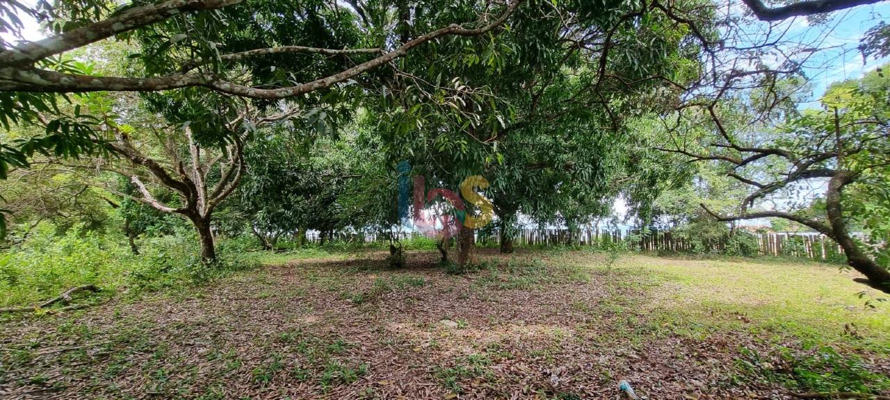 Terreno, 2 hectares - Foto 20