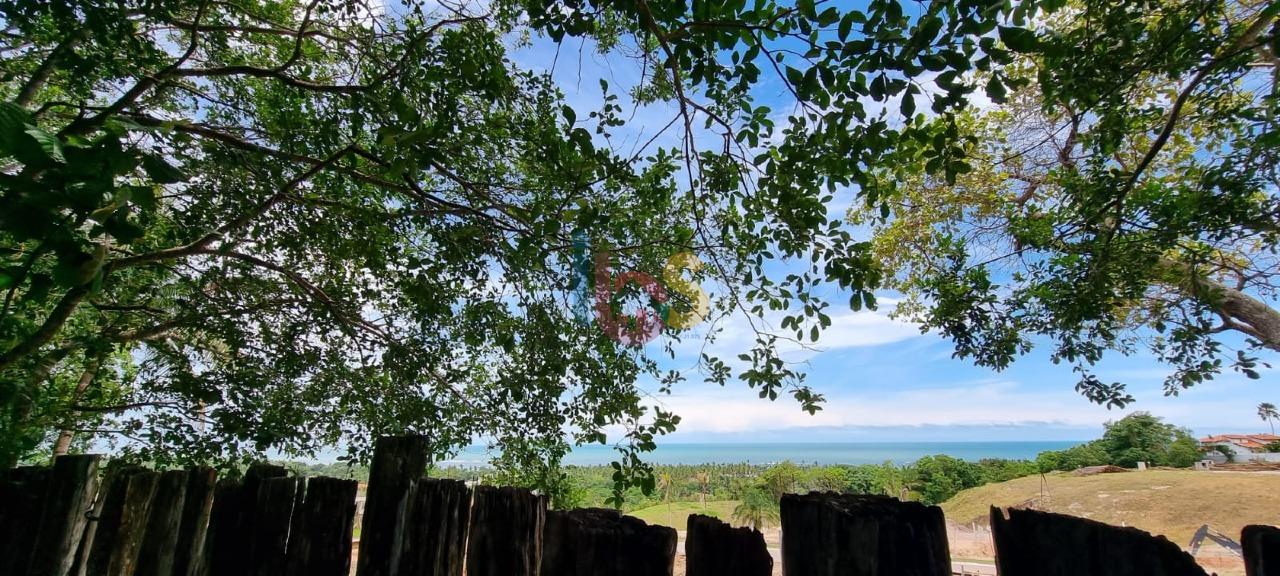 Terreno, 2 hectares - Foto 19