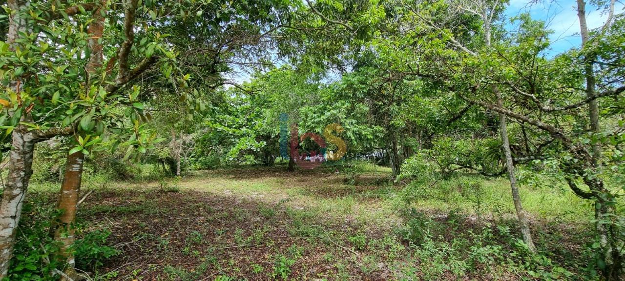 Terreno, 2 hectares - Foto 18