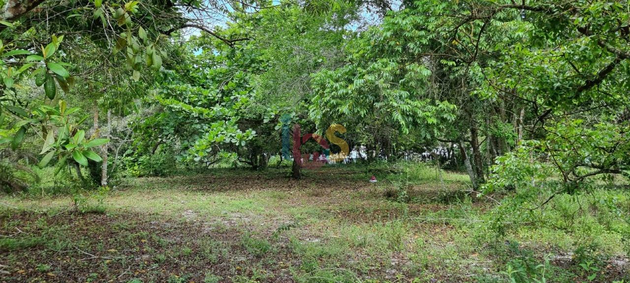 Terreno, 2 hectares - Foto 17