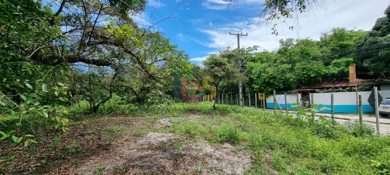 Terreno, 2 hectares - Foto 16