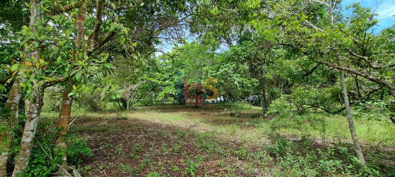 Terreno, 2 hectares - Foto 15