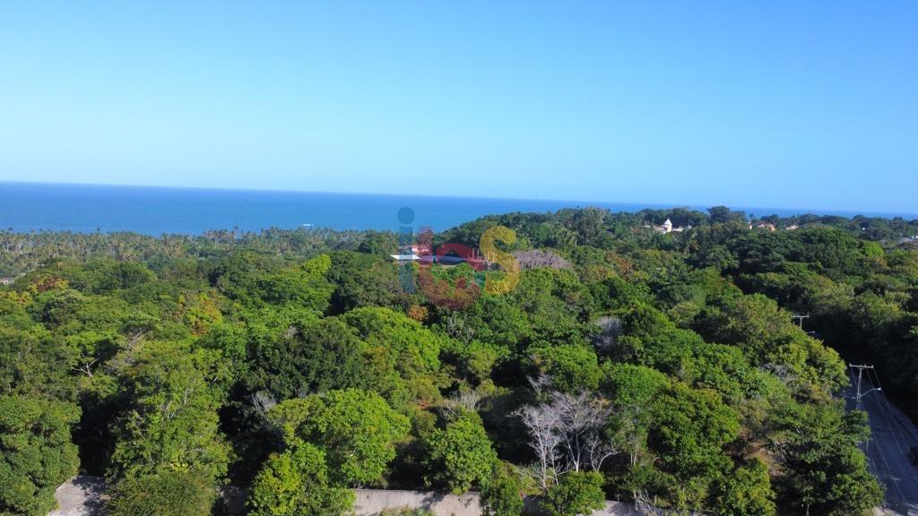 Terreno, 2 hectares - Foto 2