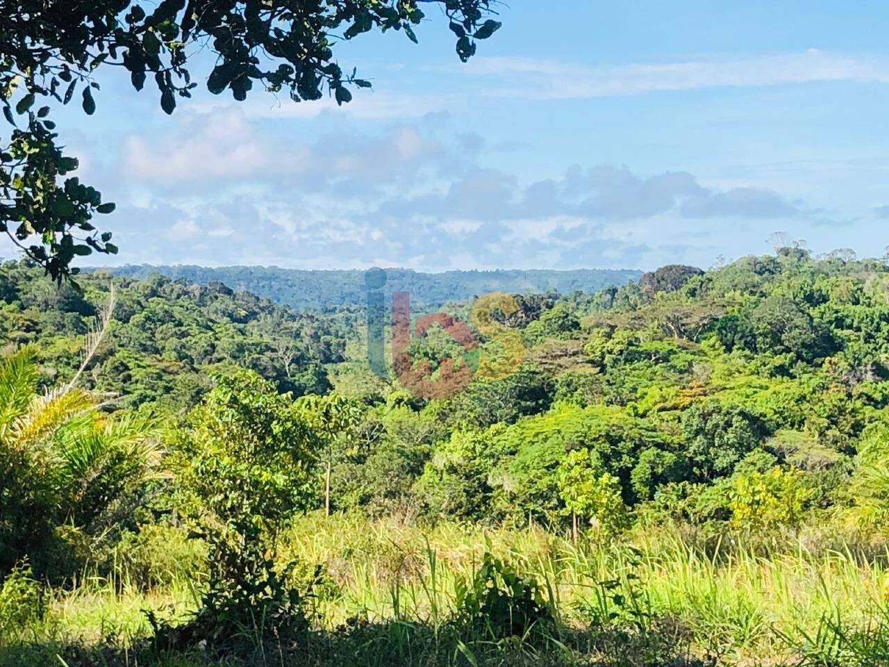 Fazenda à venda - Foto 1