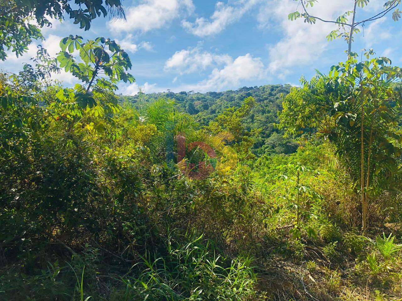 Fazenda à venda - Foto 4