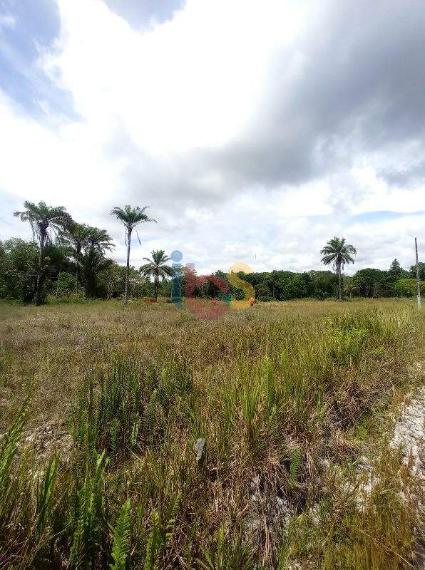 Terreno à venda, 250m² - Foto 1