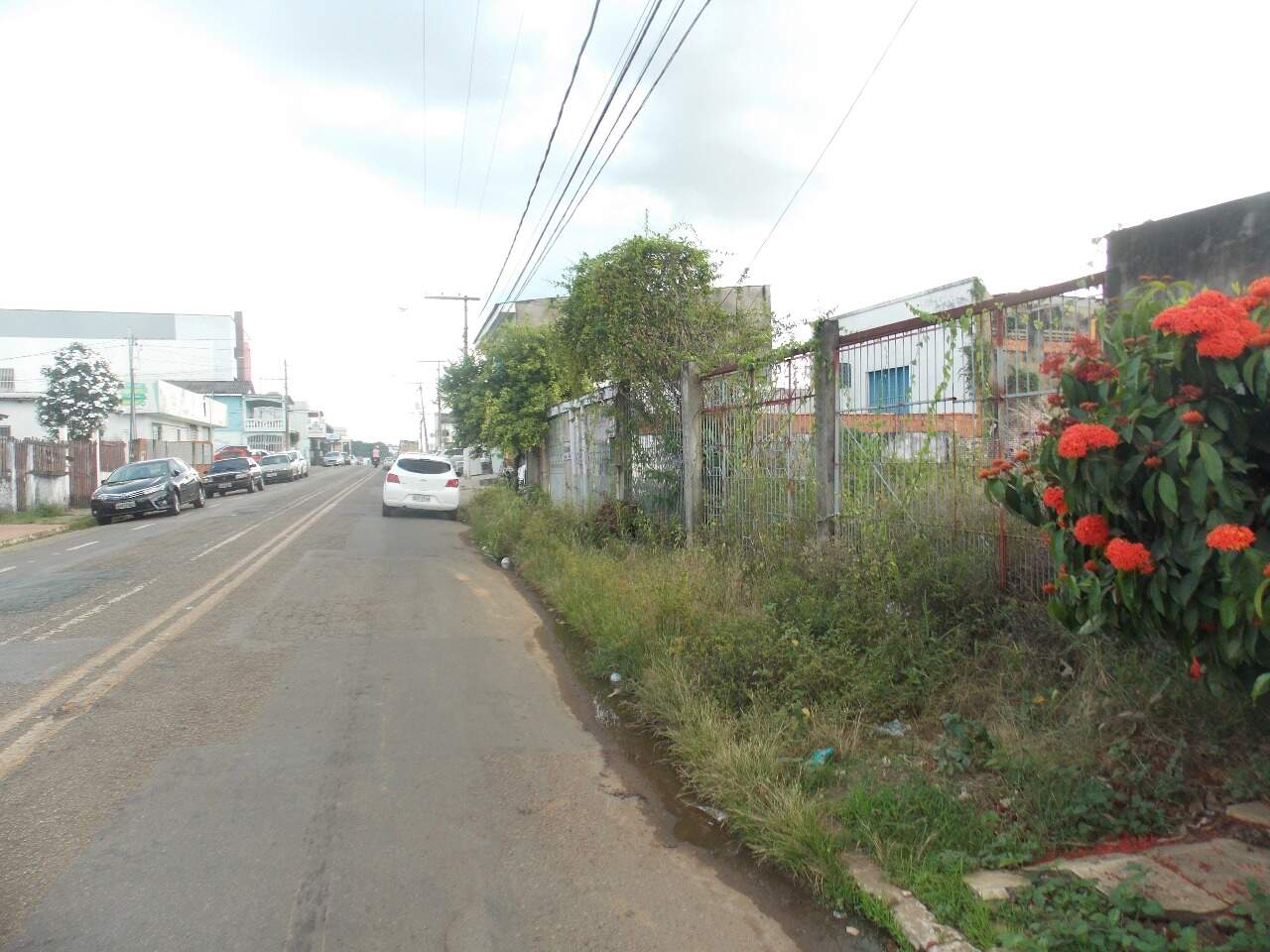 Terreno à venda no Bosque: 