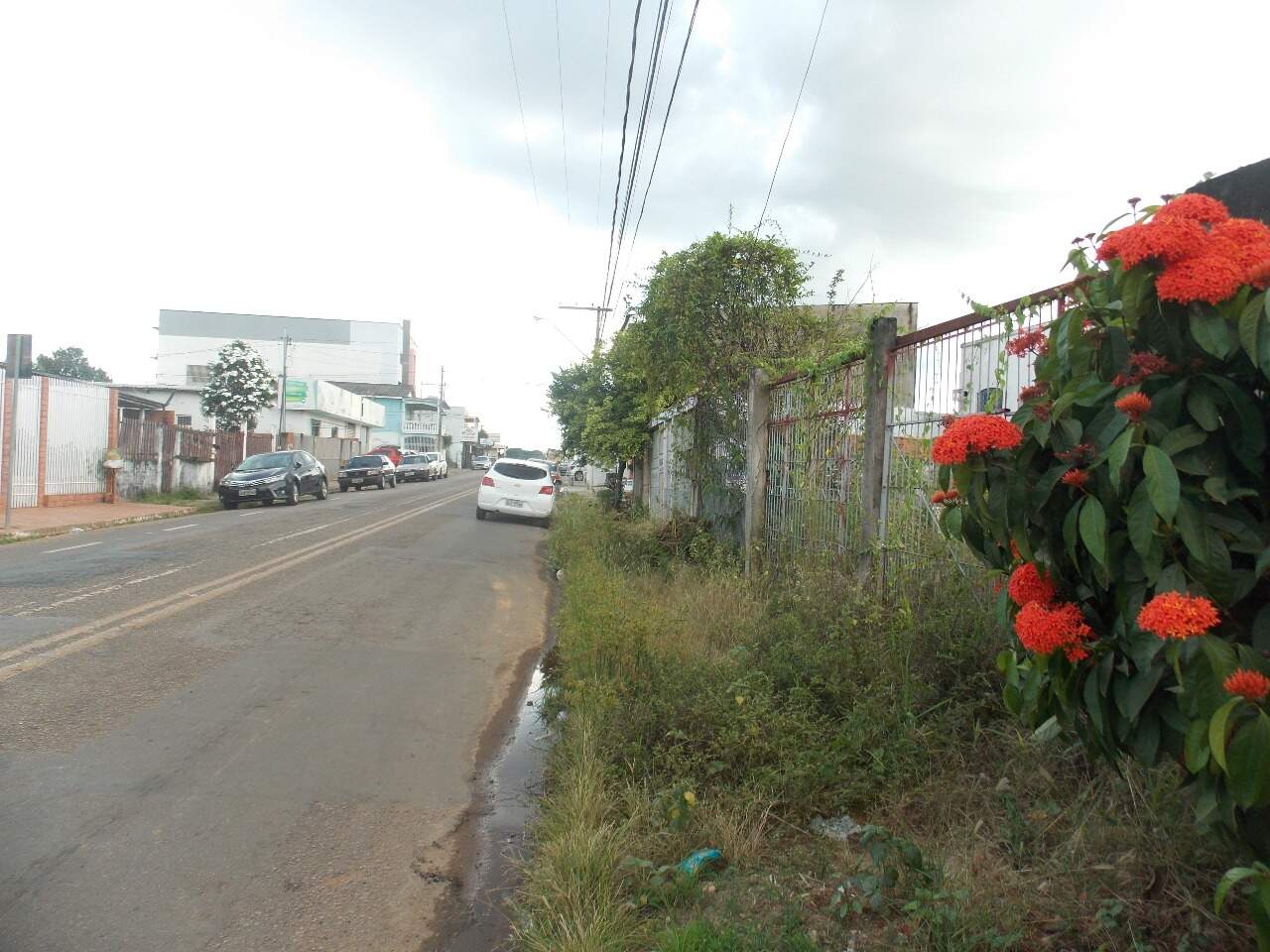 Terreno à venda no Bosque: 