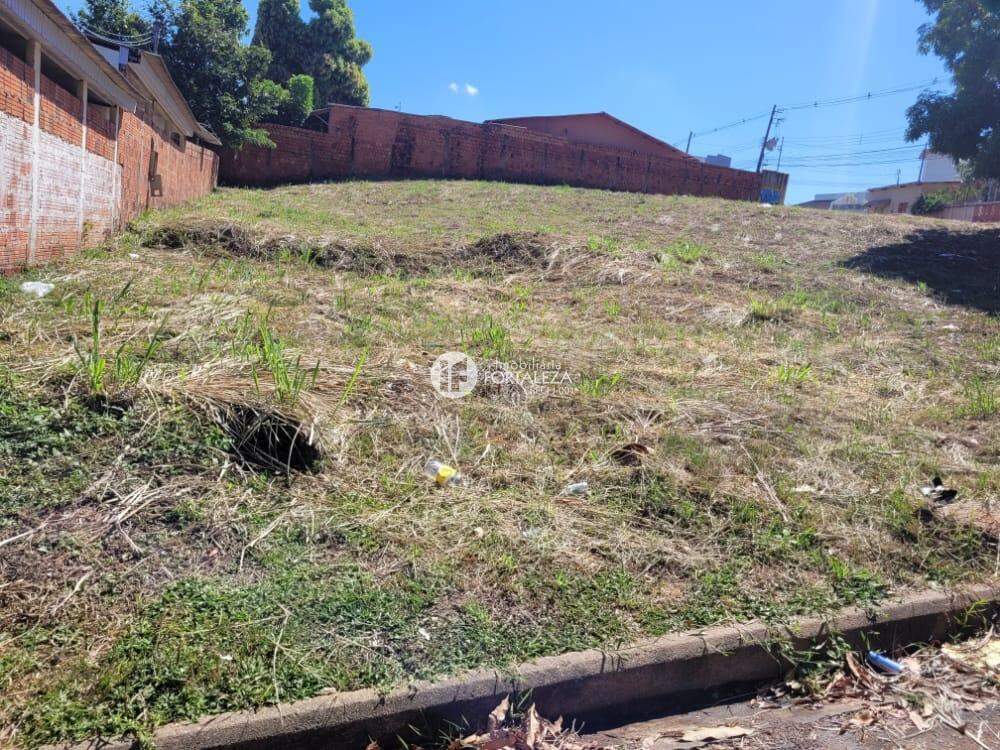 Terreno à venda no Capoeira: 