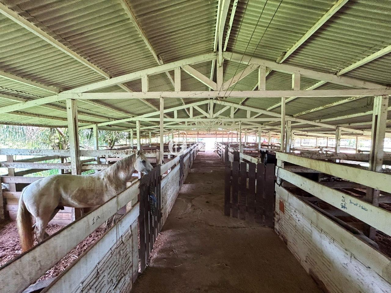 Chácara à venda no Vila Acre: 