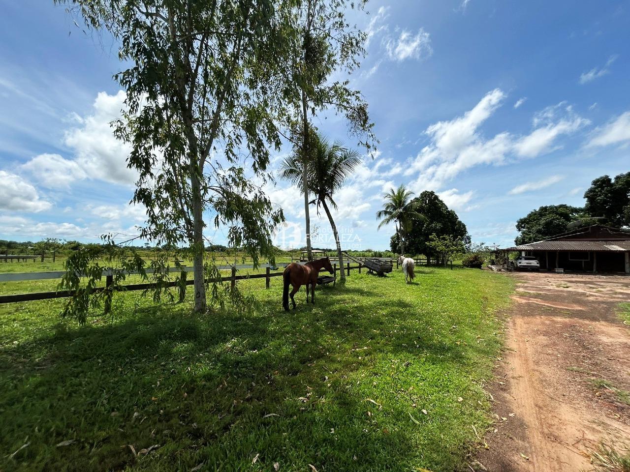 Chácara à venda no Vila Acre: 