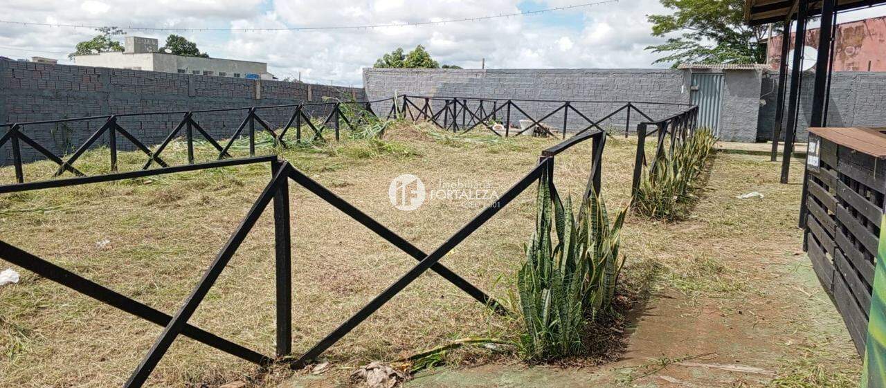 Terreno para aluguel no Placas: 