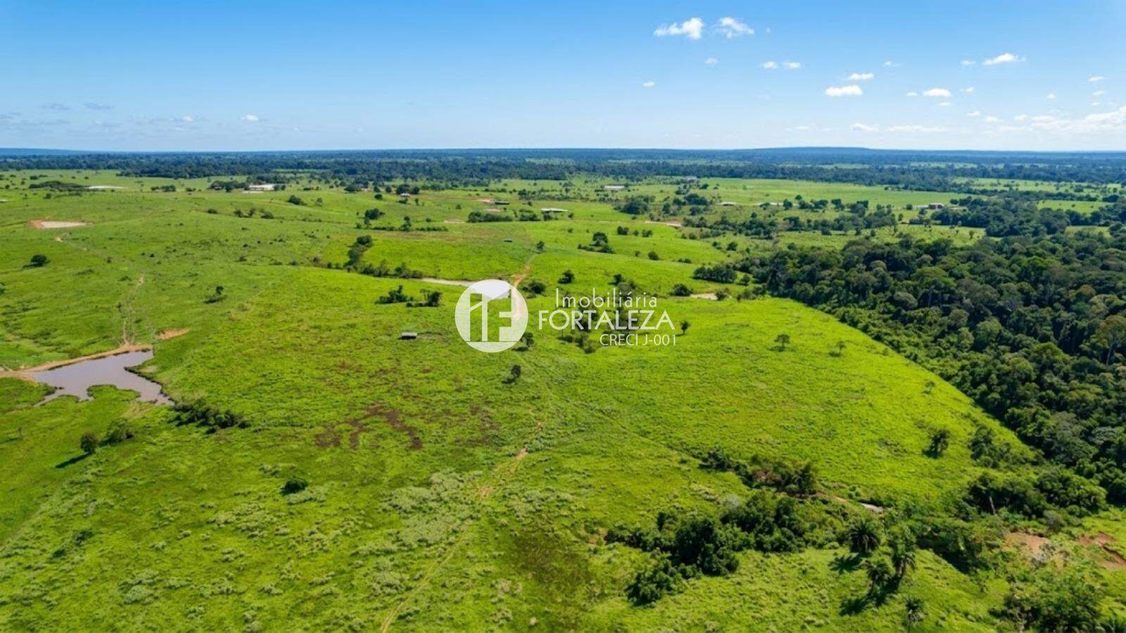 Fazenda à venda no Zona Rural: 
